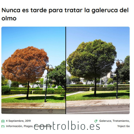 YNJECT GO GALERUCA DEL OLMO
