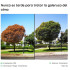 YNJECT GO GALERUCA DEL OLMO