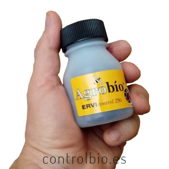 ERVIcontrol 250 Aphidius ervi