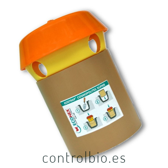 EOSTRAP® COSMOPOLITES SÚPER