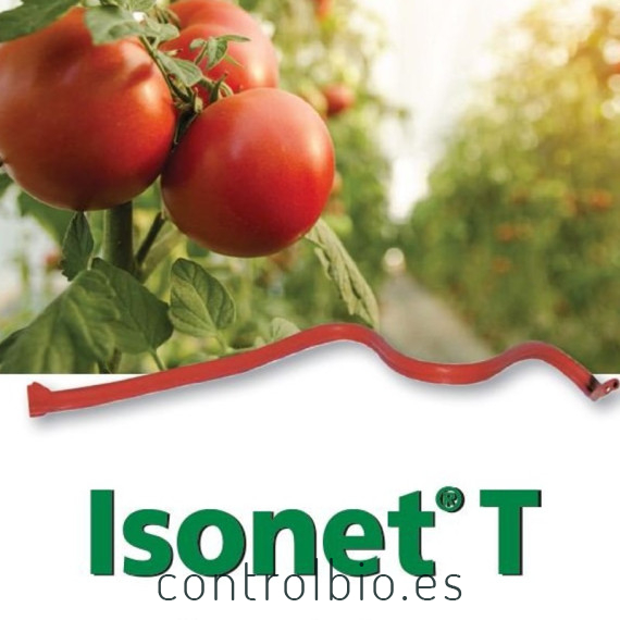 ISONET T (x 500 Ud) difusores confusion sexual de tuta