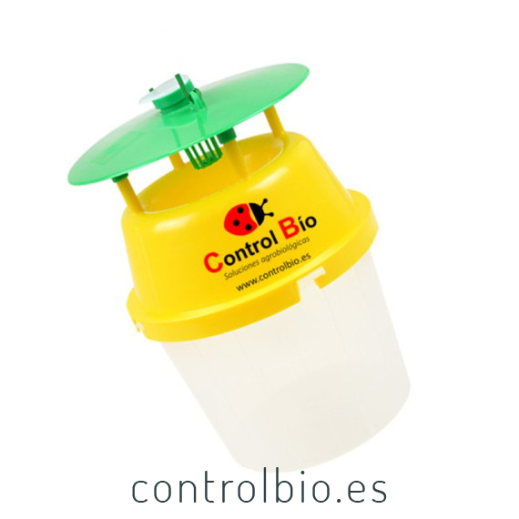 Funnel trap base transparente