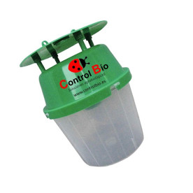 Polillero verde funnel base transparente