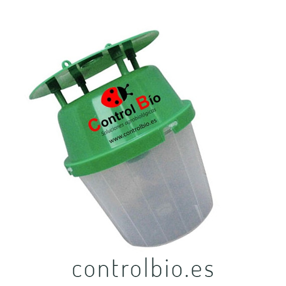 Polillero verde funnel base transparente