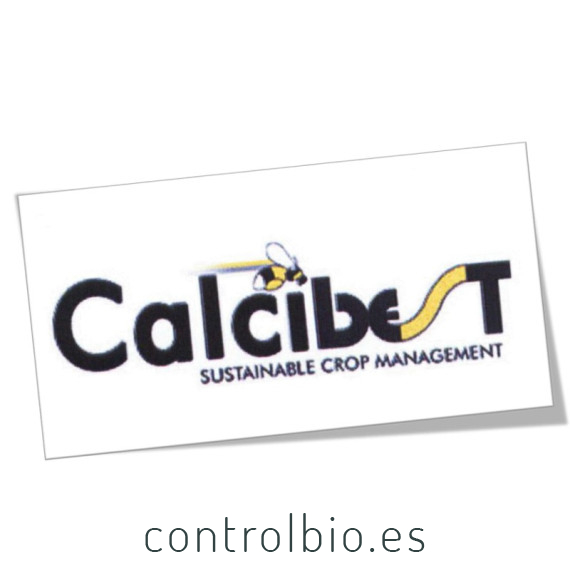 CALCIBEST 5L