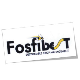 FOSFIBEST 5L jabón fosfórico