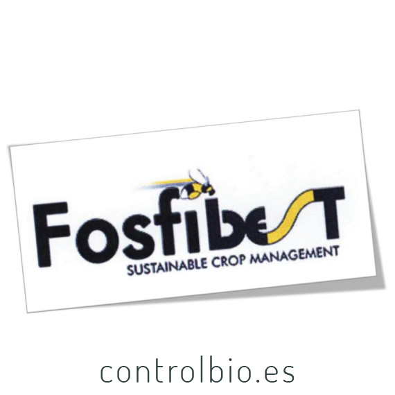 FOSFIBEST 5L jabón fosfórico