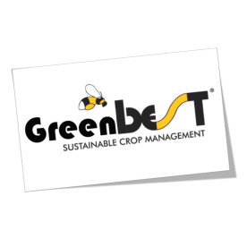 GREENBEST 800 gr extracto de algas ascophyllum