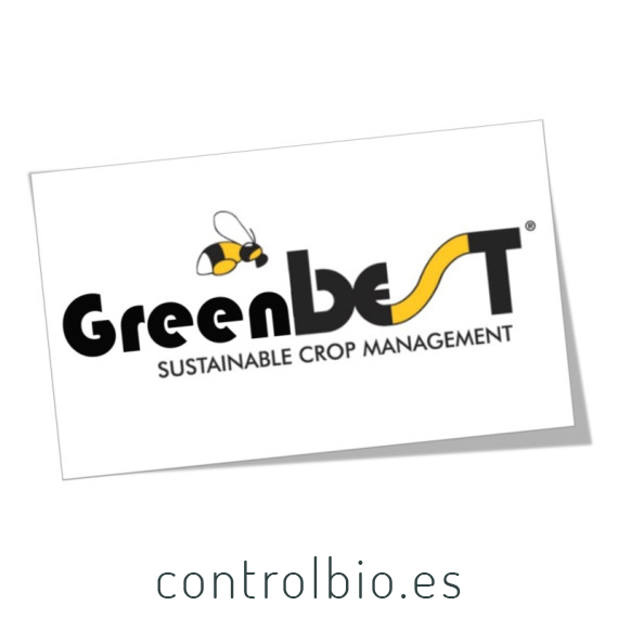 GREENBEST 800 gr extracto de algas ascophyllum