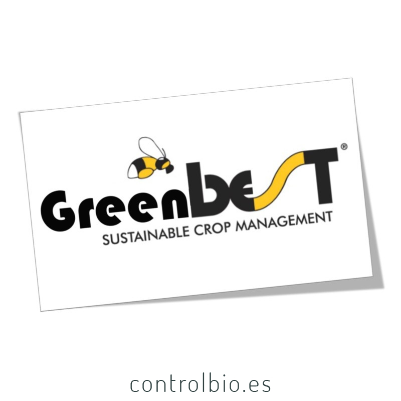 GREENBEST 800 gr extracto de algas ascophyllum