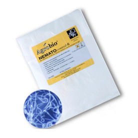 NEMATOCONTROL S 50 mill Steinernema feltiae
