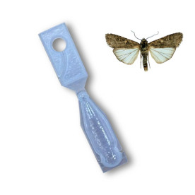 EXITEC  x50 Ud confusión sexual Spodotera exigua