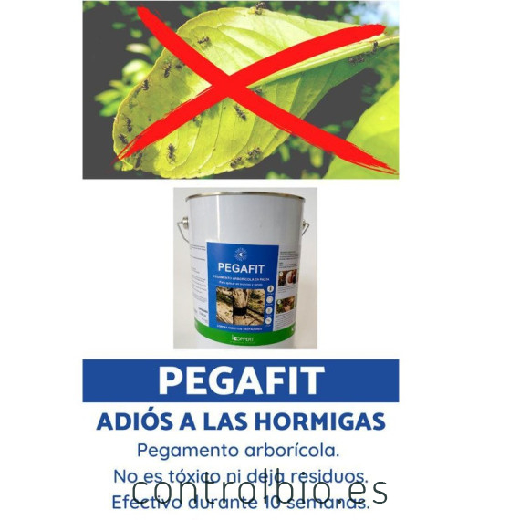 PEGAFIT pegamento arborícola antihormigas