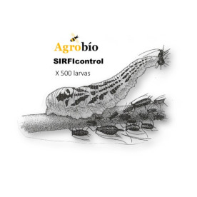 SIRFICONTROL 500 larvas Sphaerophoria rueppellii