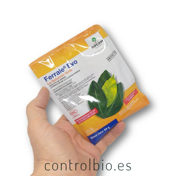 QUELATO DE HIERRO 50 gr