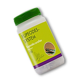 Eupeodes-System-100