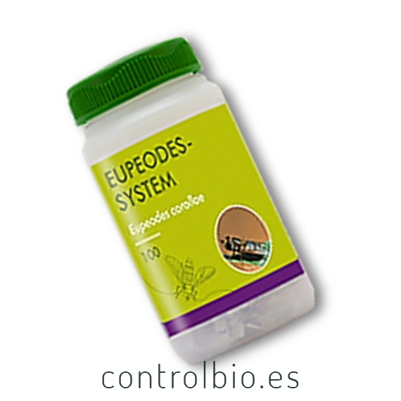 Eupeodes-System-100