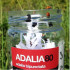 ADALIA 100 adultos de Adalia bipunctata