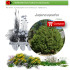 comprar Juniperus oxycedrus (Enebro) BF60