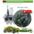 comprar Vitex agnus cactus (Sauzgatillo) BF54
