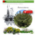 comprar Rhamnus alaternus (Aladierno) BF54