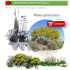 comprar Retama sphaerocarpa en bandeja forestal