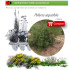 comprar Phillyrea angustifolia (Oivilla) BF54