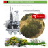 comprar juniperus phoenicea sabina mora en bandeja forestal