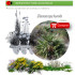 comprar palmito chamaerops humilis en bandeja forestal