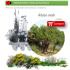 comprar madroño arbutus unedo
