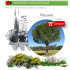 comprar pino piñonero pinus pinea