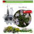 comprar Vinca difformis