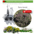 comprar Thymus hyemalis