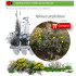 comprar Halimium atripicifolium