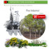 comprar pino carrasco pinus halepensis