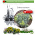 comprar Crithmum maritimum perejil de mar