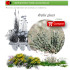 comprar Atriplex glauca