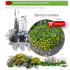 Comprar asteriscus maritimus