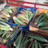 comprar hijuelos de aloe vera