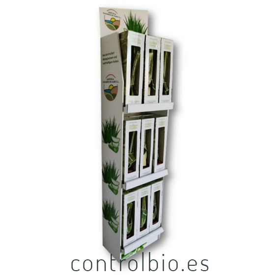 ALOE VERA  planta en estuche individual