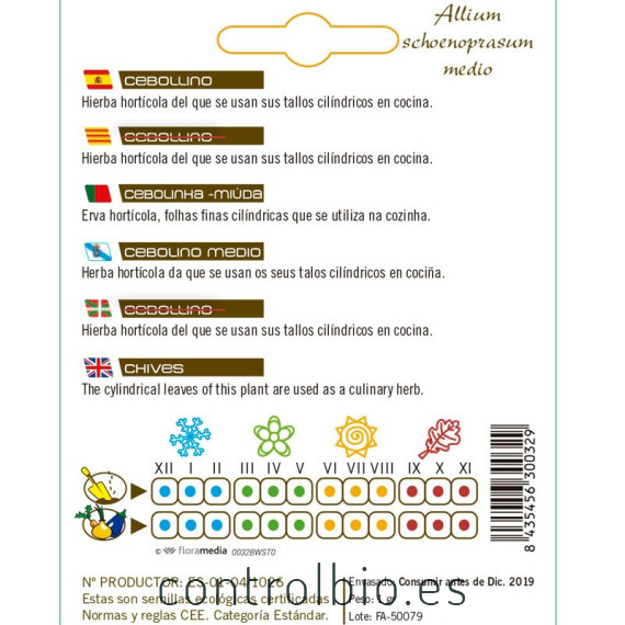 CEBOLLINO Allium shoenoprasum  semilla x 1 g