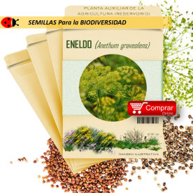 ENELDO Anethum graveolens semillas x 1 g
