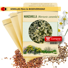 MANZANILLA Matricaria chamomilla semillas