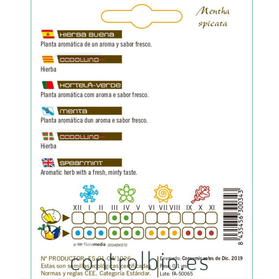 HIERBA BUENA Mentha spicata semillas