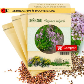 MEJORANA Origanum majorana semillas x 1 g