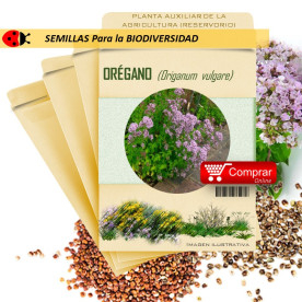 ORÉGANO Origanum vulgare semillas