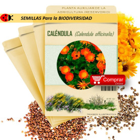 CALÉNDULA C. officinalis semillas