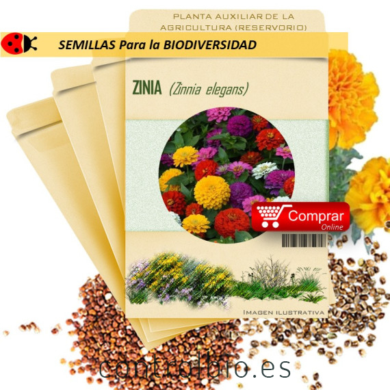 ZINIA Zinnia elegans semillas