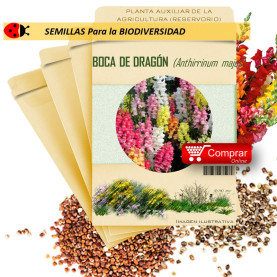 BOCA DE DRAGÓN Anthirrinum majus semillas