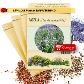 FACELIA Phacelia tanacetifolia semillas  X 10 g